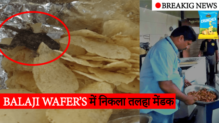 Fried frog found in packet of Balaji Wafers